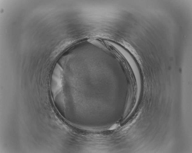 X0000088400577200706121237