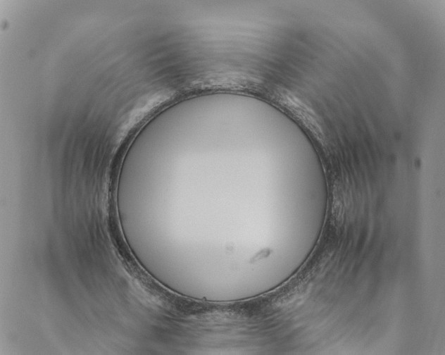 X0000088400578200706121237