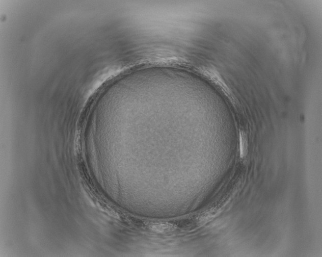 X0000088400579200706121237