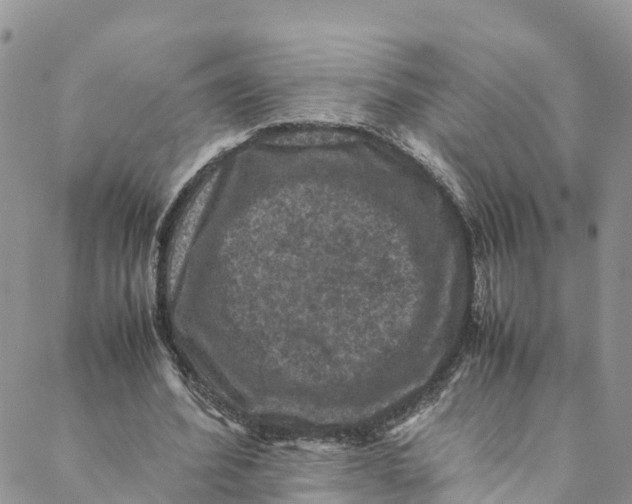 X0000088400580200706121237