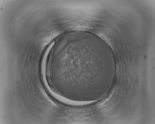 X0000088400581200706121237