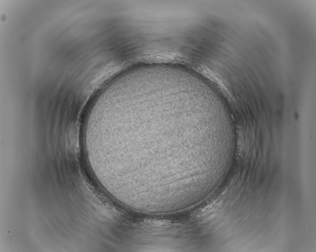 X0000088400582200706121237