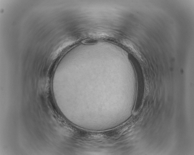 X0000088400583200706121237