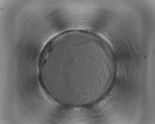 X0000088400584200706121237