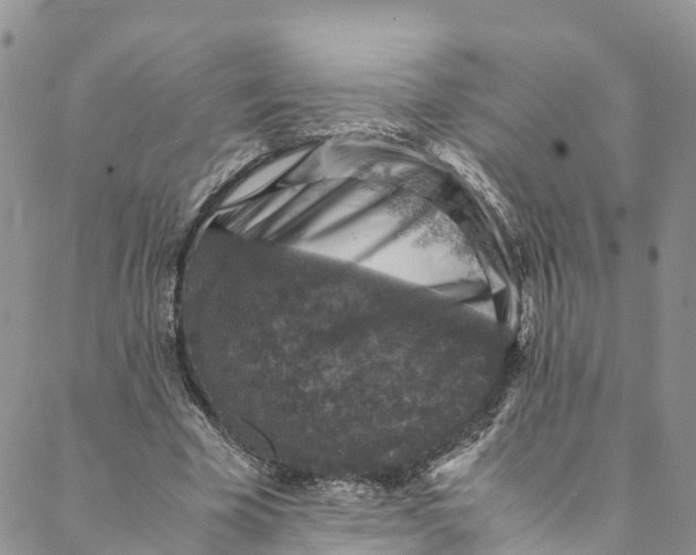 X0000088400585200706121237