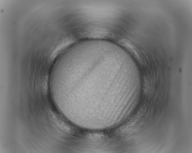 X0000088400586200706121237