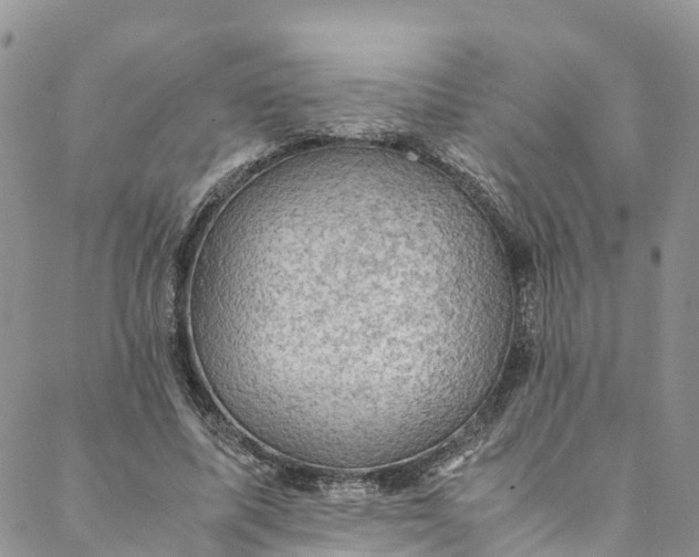 X0000088400587200706121237