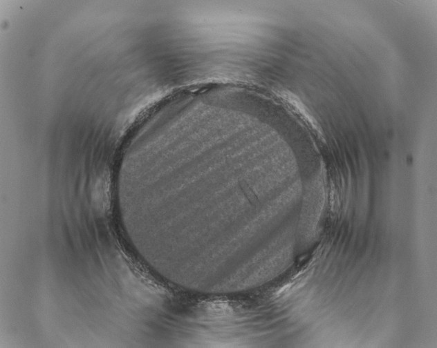 X0000088400588200706121237