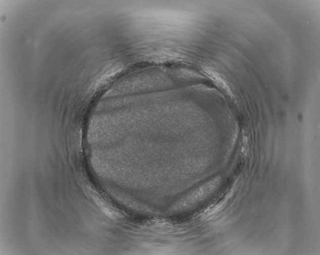 X0000088400589200706121237