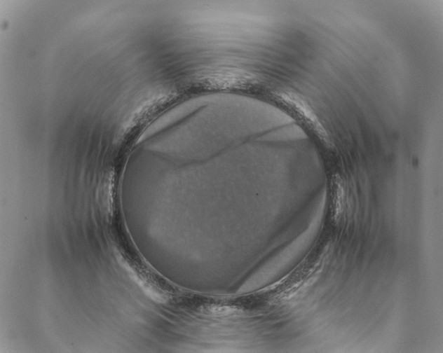 X0000088400590200706121237