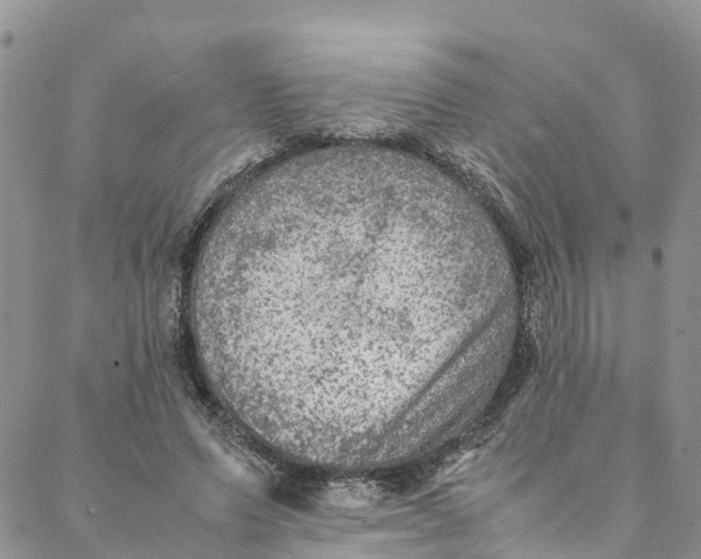 X0000088400591200706121237