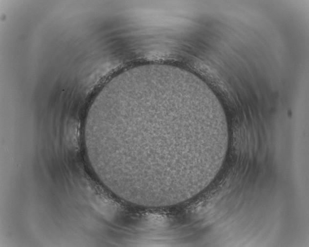 X0000088400592200706121237