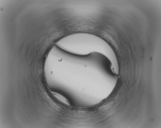 X0000088400593200706121237