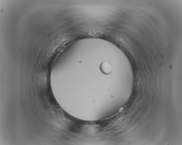 X0000088400595200706121237