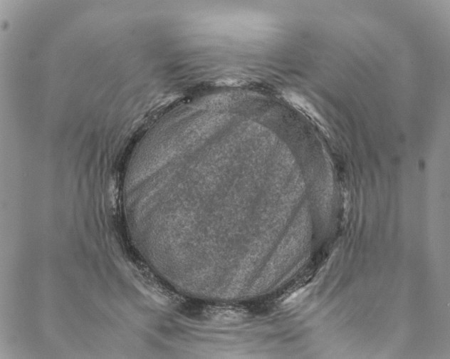 X0000088400597200706121237