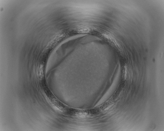 X0000088400598200706121237