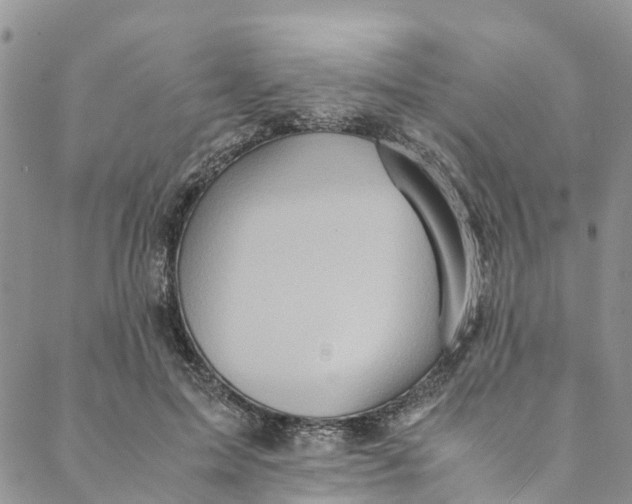 X0000088400599200706121237