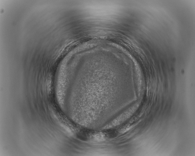 X0000088400600200706121237