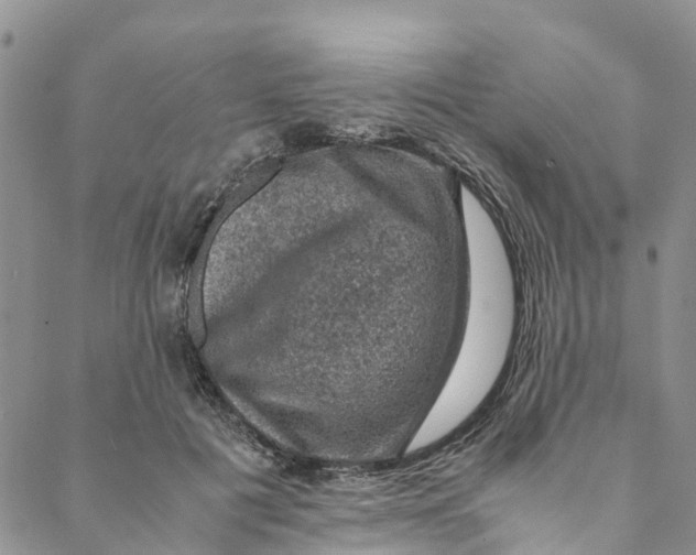 X0000088400601200706121237