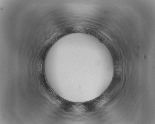 X0000088400603200706121237