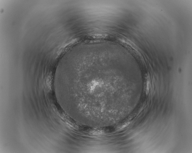 X0000088400604200706121237