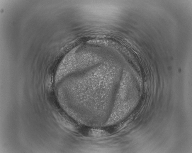 X0000088400605200706121237