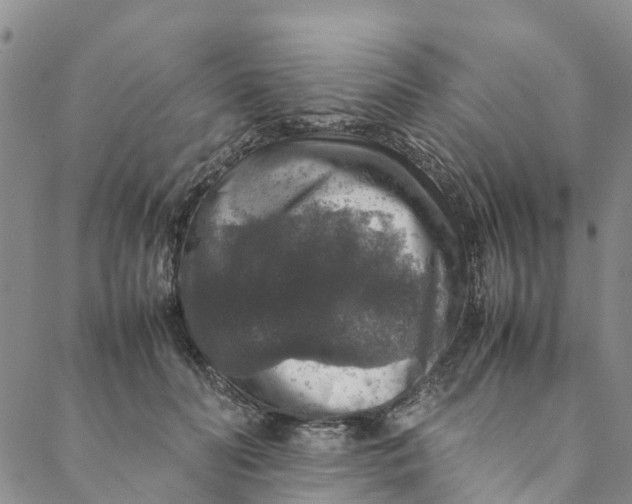 X0000088400606200706121237