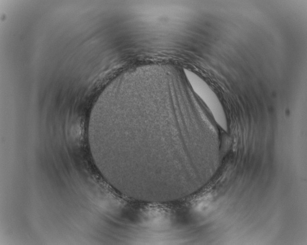 X0000088400608200706121237