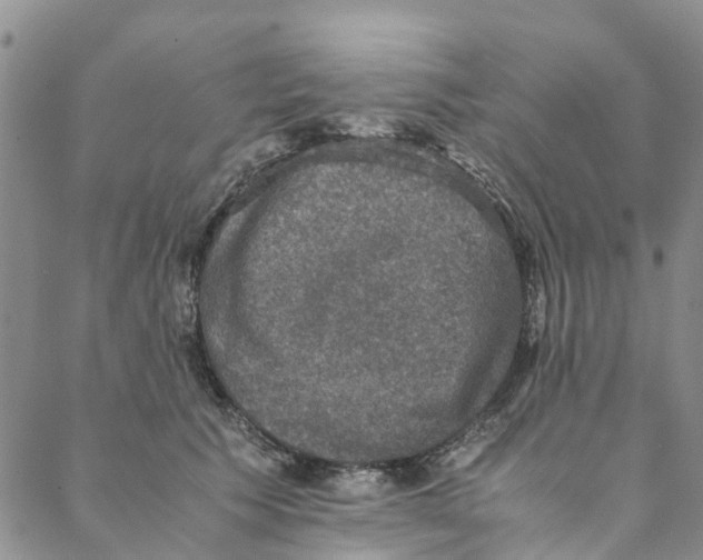 X0000088400609200706121237