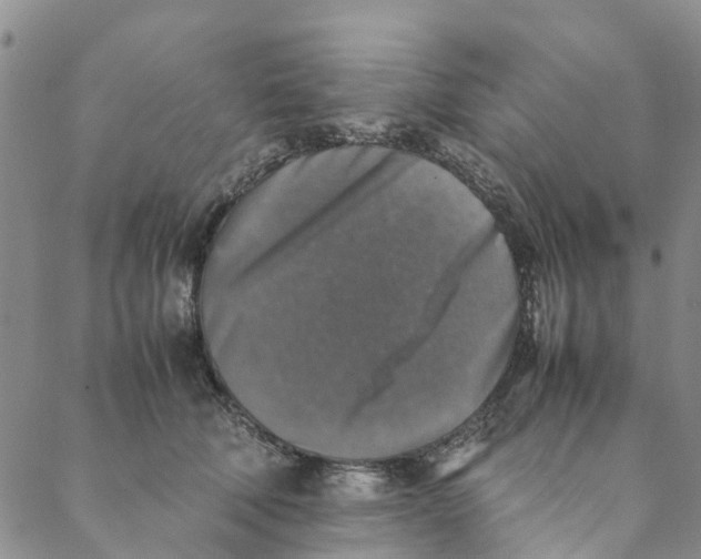 X0000088400610200706121237