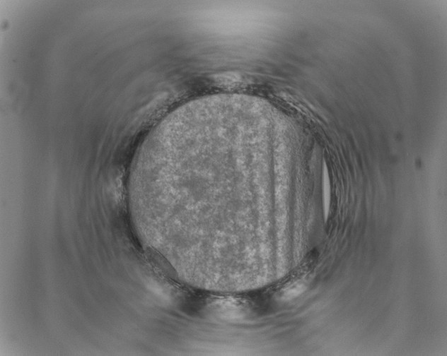 X0000088400611200706121237