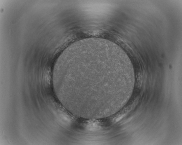 X0000088400612200706121237