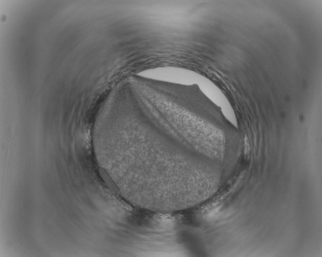 X0000088400613200706121237