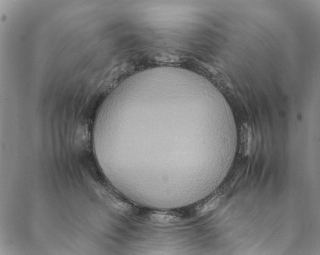 X0000088400614200706121236