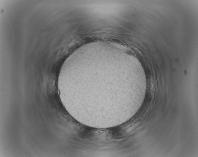 X0000088400615200706121236