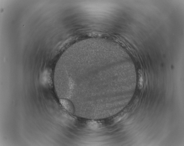 X0000088400616200706121236