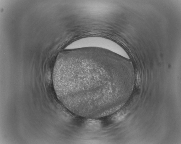 X0000088400617200706121236