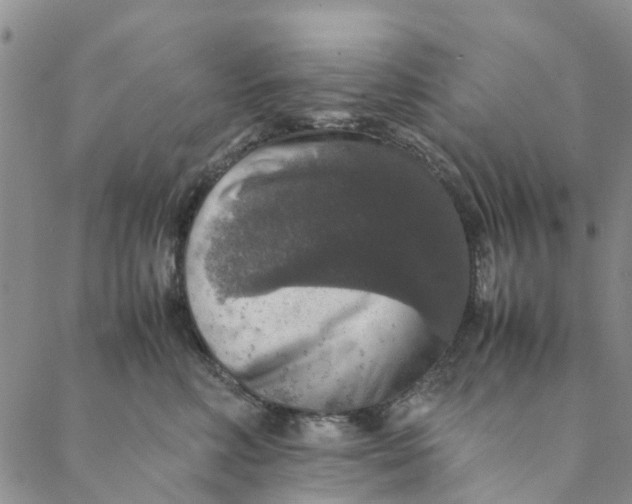 X0000088400618200706121236