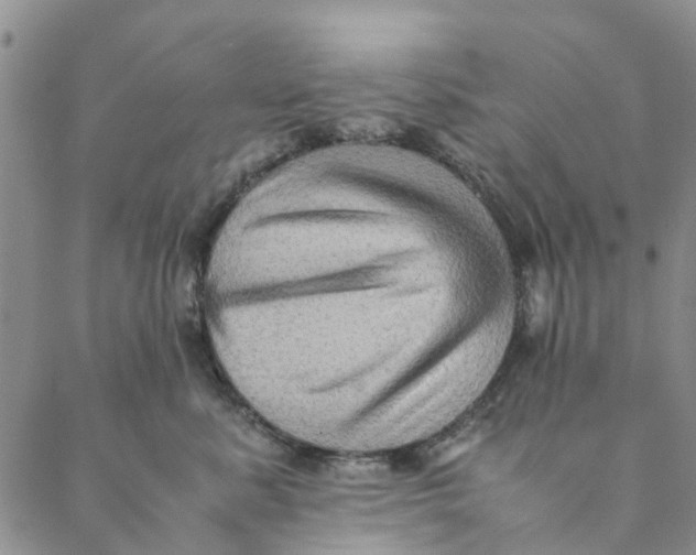 X0000088400619200706121236