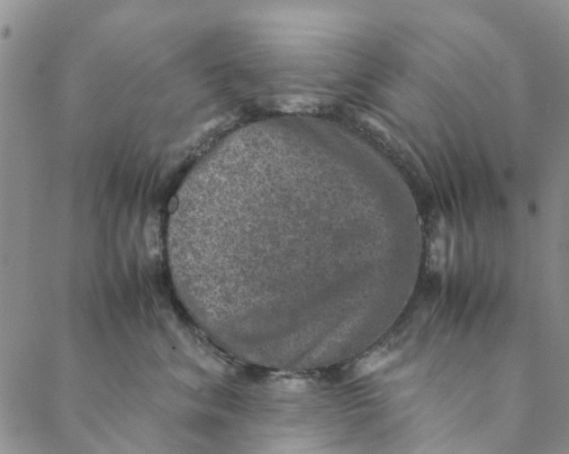 X0000088400620200706121236