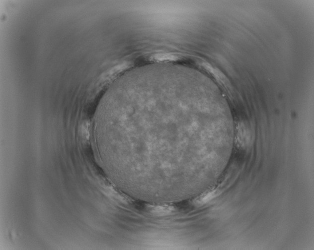 X0000088400621200706121236