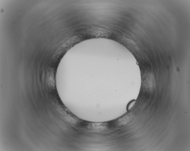 X0000088400622200706121236