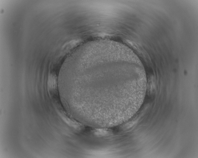 X0000088400623200706121236