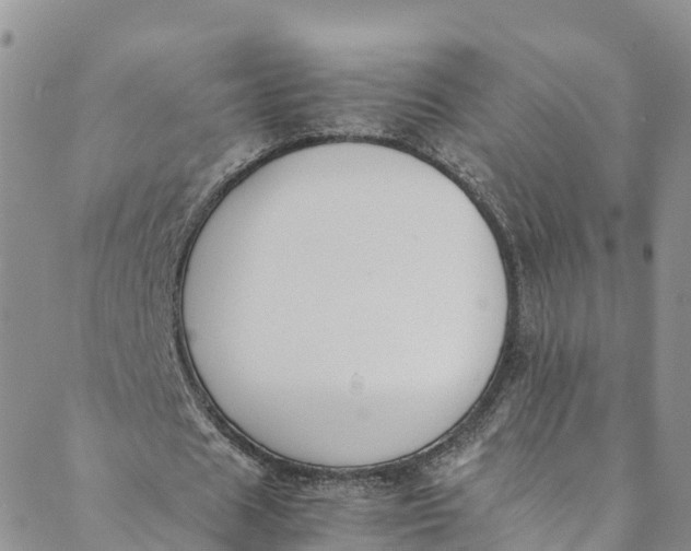 X0000088400625200706121236