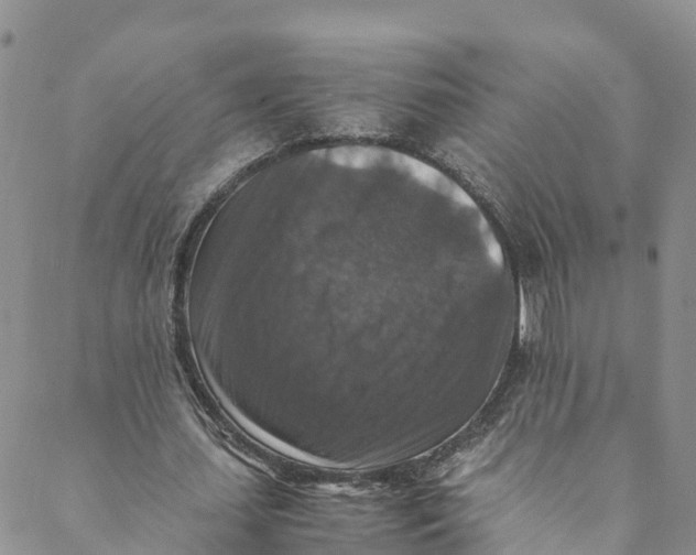 X0000088400627200706121236