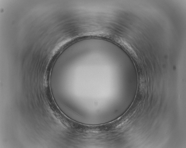 X0000088400628200706121236