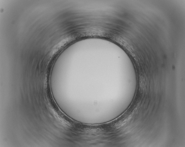 X0000088400629200706121236