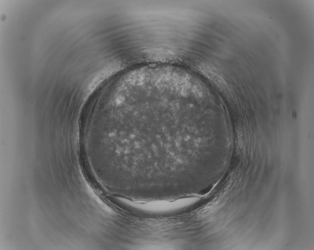 X0000088400630200706121236