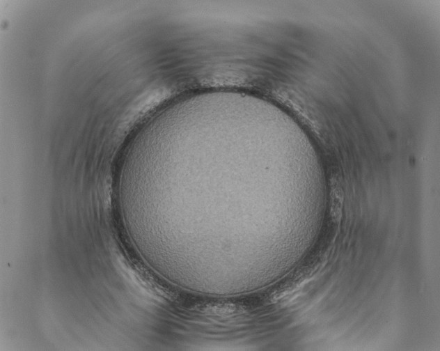 X0000088400631200706121236