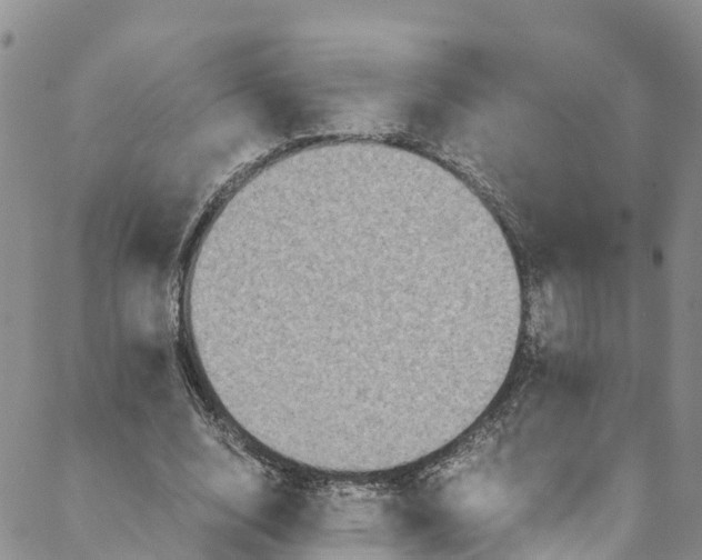 X0000088400632200706121236